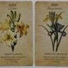 Карты Таро Ботанические Вдохновения / Botanical Inspirations Deck - U.S. Games Systems