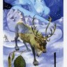 Карты Таро Карты рунического видения / Rune Vision Cards - AGM AGMuller