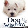 Карты Таро Собачья Мудрость / Dog Wisdom Cards - U.S. Games Systems